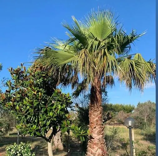 Tenuta Punta Della Suina Holiday home *